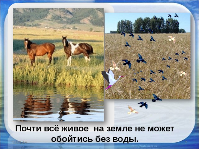 Почти всё живое на земле не может обойтись без воды. 22.04.19   