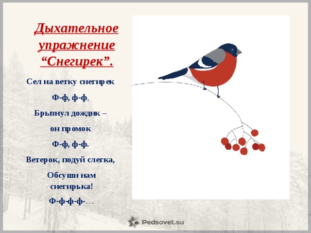 Дыхательное упражнение “Снегирек”. Сел на ветку снегирек  Ф-ф, ф-ф , Брызнул дождик – он промок  Ф-ф, ф-ф.  Ветерок, подуй слегка,  Обсуши нам снегирька! Ф-ф-ф-ф- … 