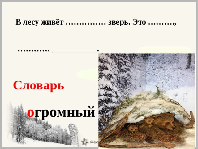 В лесу живёт …………… зверь. Это ……….,  ………… ___________. огромный бурый косолапый  медведь Словарь о громный 