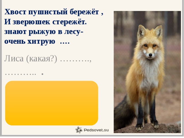 рыжая Хвост пушистый бережёт ,  И зверюшек стережёт.  знают рыжую в лесу- очень хитрую …. лису Лиса (какая?) ………., ……… .. . хитрая неуклюжая 