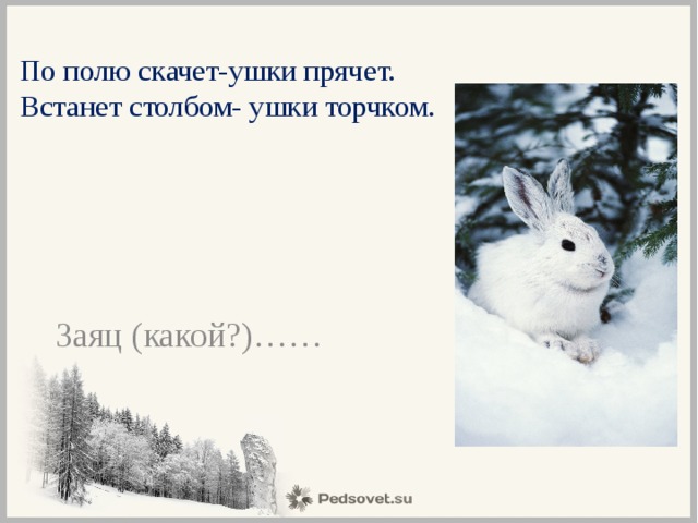 По полю скачет-ушки прячет.  Встанет столбом- ушки торчком.   Заяц (какой?)…… 