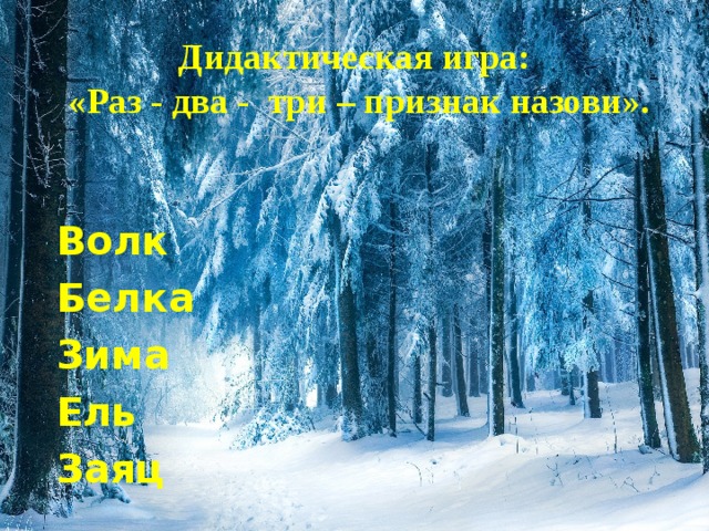 Дидактическая игра:  «Раз - два -  три – признак назови».    Волк Белка Зима Ель Заяц 