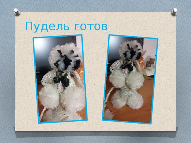Пудель готов 
