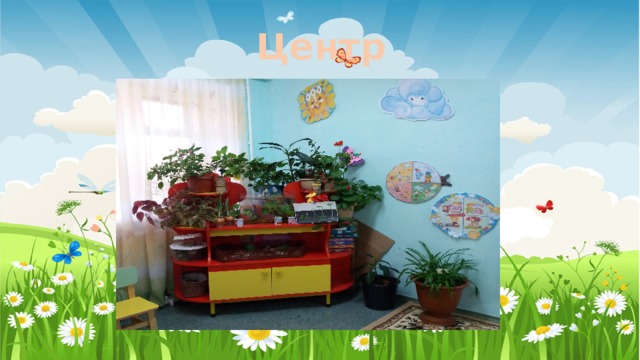 Центр природы 