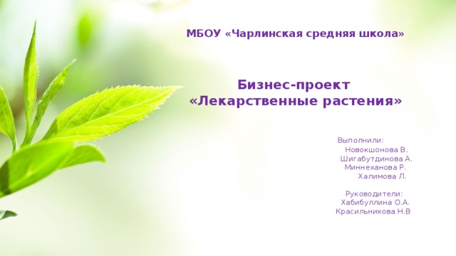   МБОУ «Чарлинская средняя школа»     Бизнес-проект  «Лекарственные растения»     Выполнили:  Новокшонова В.  Шигабутдинова А.  Миннеханова Р.  Халимова Л.    Руководители:  Хабибуллина О.А.  Красильникова Н.В    