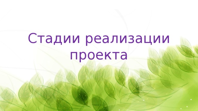 Стадии реализации проекта 