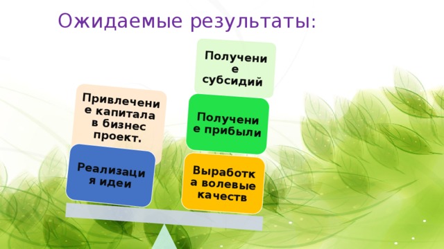 Привлечение капитала в бизнес проект.   Получение субсидий Выработка волевые качеств Получение прибыли Реализация идеи  Ожидаемые результаты :   