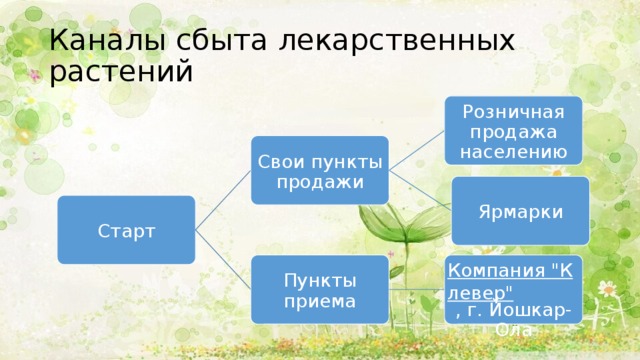 Каналы сбыта лекарственных растений Розничная продажа населению Свои пункты продажи Ярмарки Старт Пункты приема Компания 