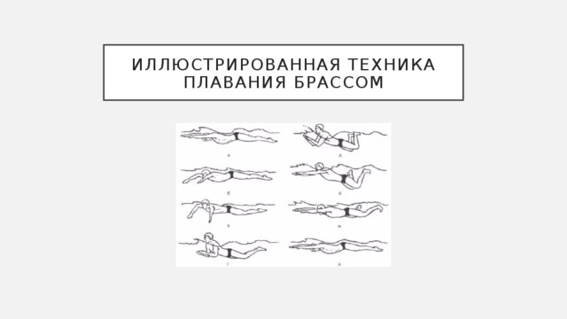 Иллюстрированная техника плавания брассом 