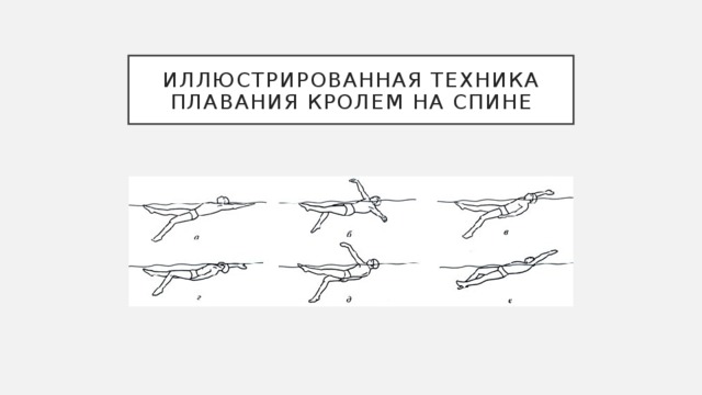 Иллюстрированная техника плавания кролем на спине 