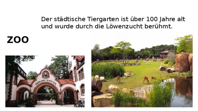 Der städtische Tiergarten ist über 100 Jahre alt und wurde durch die Löwenzucht berühmt. ZOO 