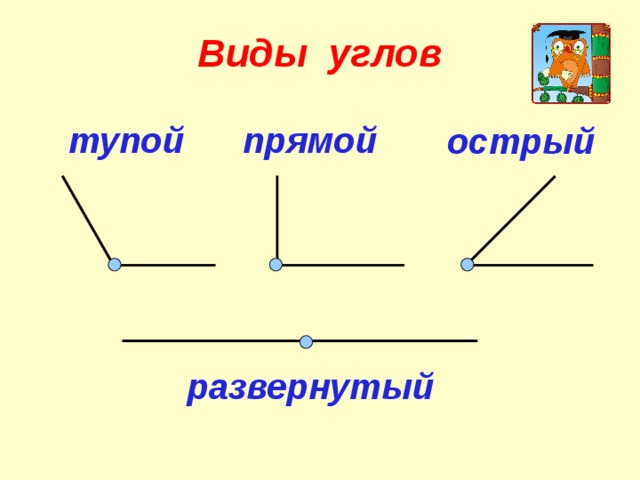Виды углов прямой тупой острый развернутый  