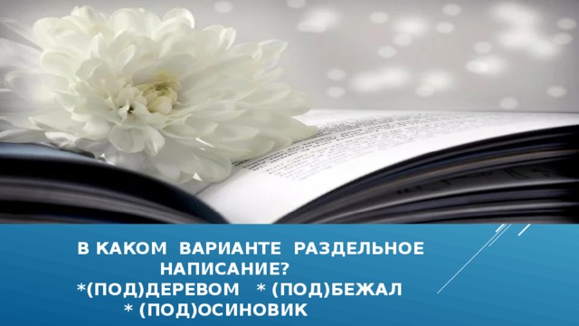  в каком варианте раздельное  написание?  *(под)деревом * (под)бежал  * (под)осиновик 