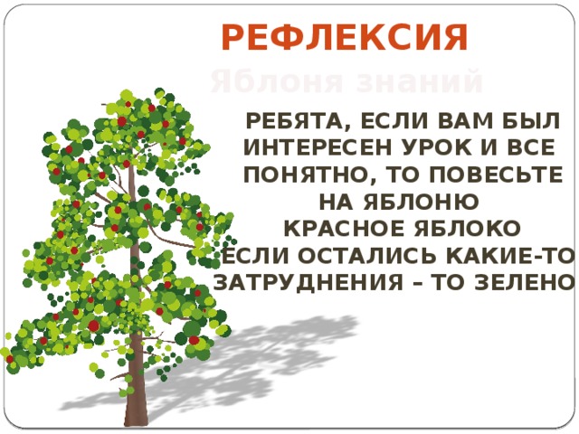 рефлексия Яблоня знаний Ребята, если вам был Интересен урок и все Понятно, то повесьте На яблоню красное яблоко Если остались какие-то затруднения – то зеленое 