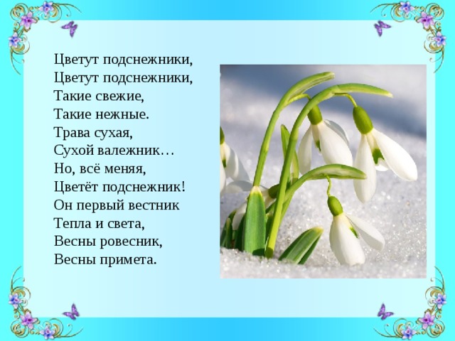 Цветут подснежники,  Цветут подснежники,  Такие свежие,  Такие нежные.  Трава сухая,  Сухой валежник …  Но, всё меняя,  Цветёт подснежник!  Он первый вестник  Тепла и света,  Весны ровесник,  Весны примета. 