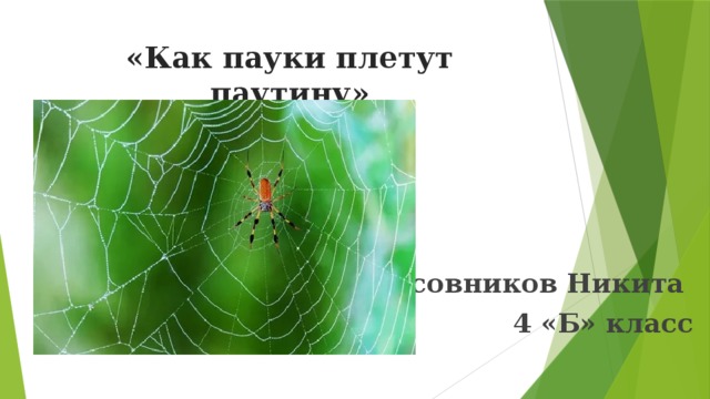 «Как пауки плетут паутину» Часовников Никита 4 «Б» класс 