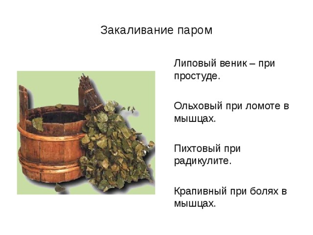 Закаливание паром  Липовый веник – при простуде.  Ольховый при ломоте в мышцах.  Пихтовый при радикулите.  Крапивный при болях в мышцах. 