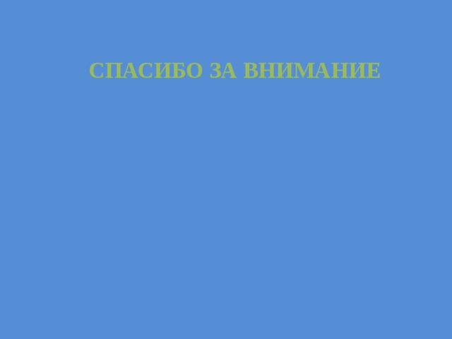 СПАСИБО ЗА ВНИМАНИЕ 