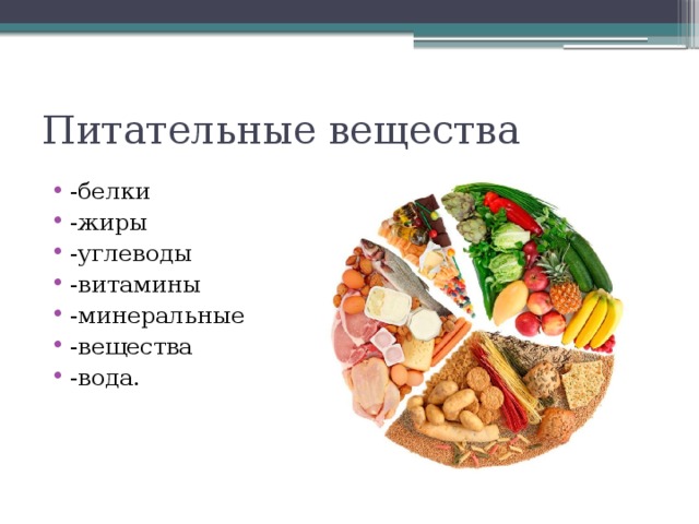 Питательные вещества -белки -жиры -углеводы -витамины -минеральные -вещества -вода. 