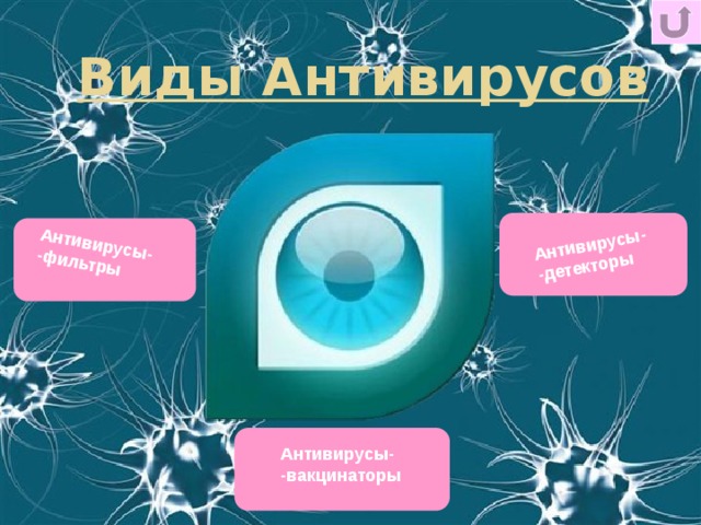 Антивирусы- -фильтры Антивирусы- -детекторы Виды Антивирусов  Антивирусы- -вакцинаторы 