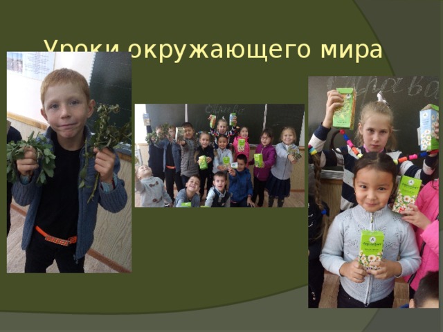  Уроки окружающего мира 