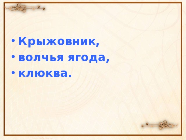 Крыжовник, волчья ягода, клюква.