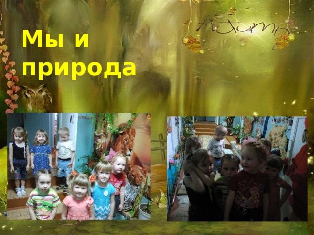 Мы и природа 