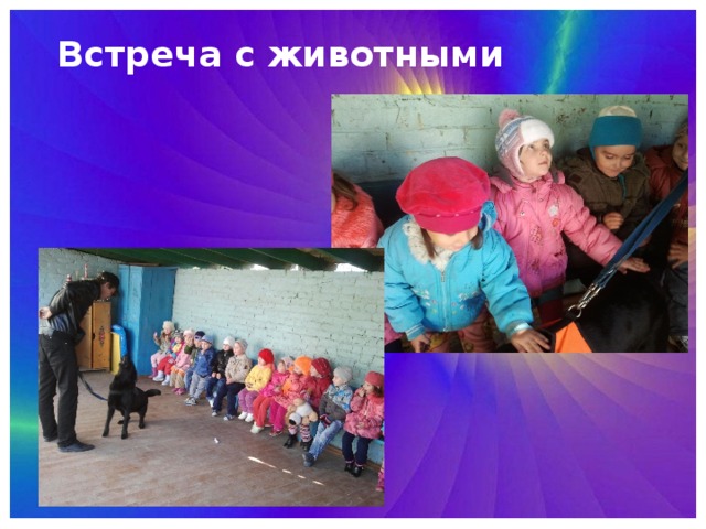 Встреча с животными 