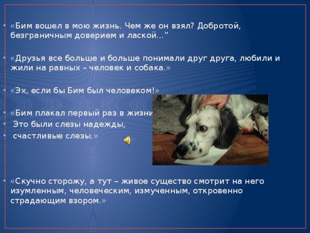 «Бим вошел в мою жизнь. Чем же он взял? Добротой, безграничным доверием и лаской…” «Друзья все больше и больше понимали друг друга, любили и жили на равных – человек и собака.» «Эх, если бы Бим был человеком!» «Бим плакал первый раз в жизни.  Это были слезы надежды,  счастливые слезы.» «Скучно сторожу, а тут – живое существо смотрит на него изумленным, человеческим, измученным, откровенно страдающим взором.» 