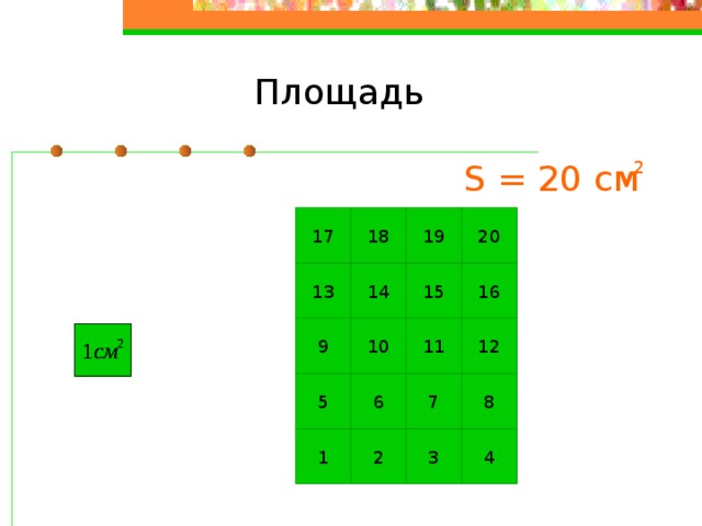 Площадь 2 S = 20 см 20 19 18 17 16 15 14 13 11 12 10 9 8 7 6 5 4 3 2 1 