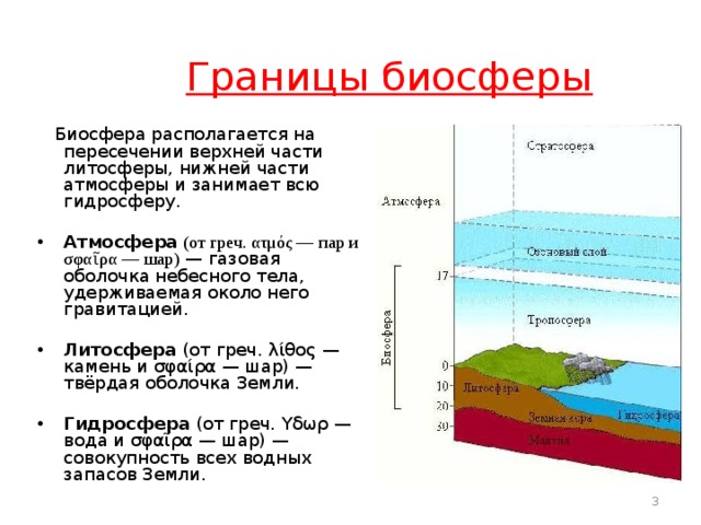  Границы биосферы  Биосфера располагается на пересечении верхней части литосферы, нижней части атмосферы и занимает всю гидросферу. Атмосфера  (от греч. ατμός — пар и σφαῖρα — шар)  — газовая оболочка небесного тела, удерживаемая около него гравитацией.  Литосфера (от греч. λίθος — камень и σφαίρα — шар) — твёрдая оболочка Земли.  Гидросфера (от греч. Yδωρ — вода и σφαῖρα — шар) — совокупность всех водных запасов Земли.   