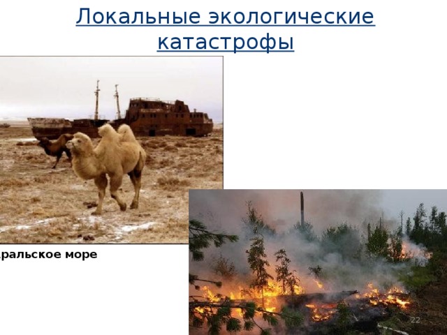 Локальные экологические катастрофы Аральское море Аральское море 16 16 