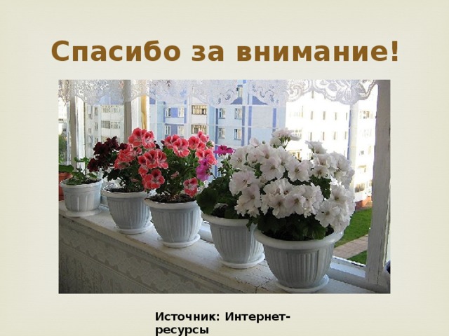 Спасибо за внимание!  Источник: Интернет-ресурсы 
