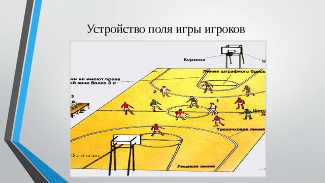 Устройство поля игры игроков 