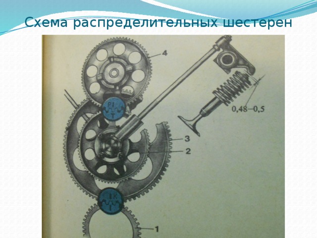 Схема распределительных шестерен 