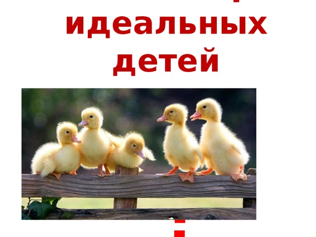  Каковы черты идеальных детей   ? 