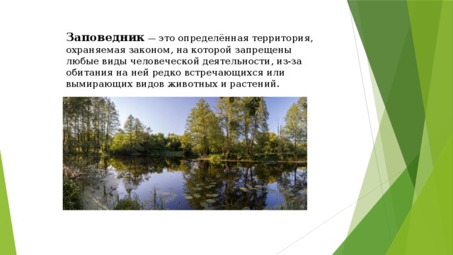 Заповедник — это определённая территория, охраняемая законом, на которой запрещены любые виды человеческой деятельности, из-за обитания на ней редко встречающихся или вымирающих видов животных и растений. 