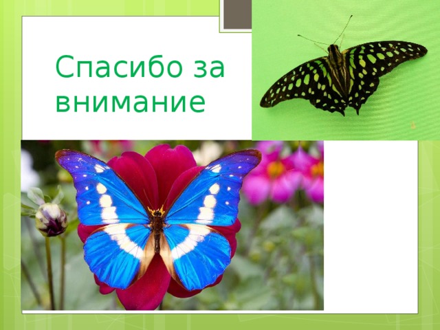 Спасибо за внимание 