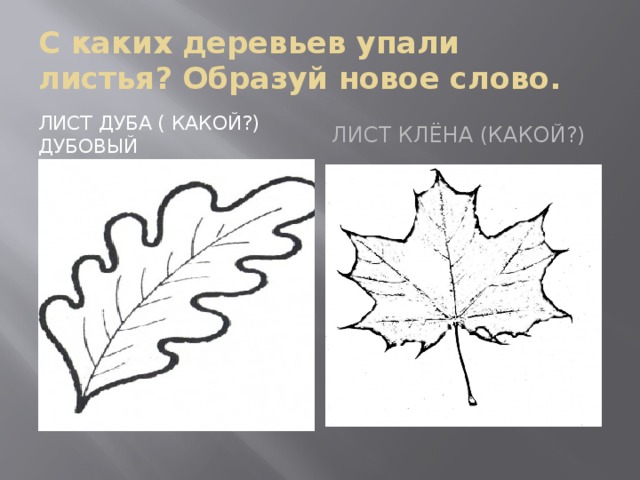 С каких деревьев упали листья? Образуй новое слово. Лист дуба ( какой?) дубовый Лист клёна (какой?) 