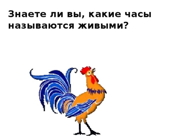 Знаете ли вы, какие часы называются живыми?   