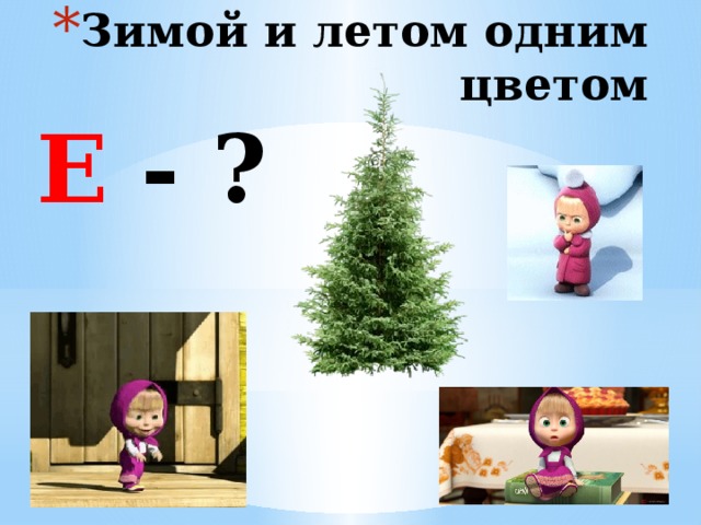 Зимой и летом одним цветом Е - ? 