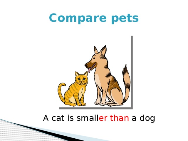 Compare Pets Урок-презентация на тему