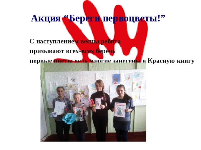  Акция “Береги первоцвет ы !” С наступлением весны ребята призывают всех - всех беречь первые цветы ведь многие занесены в Красную книгу 