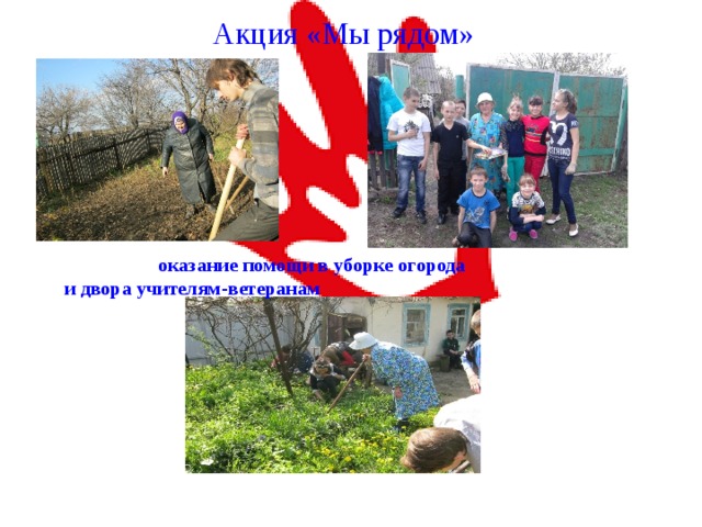  Акция «Мы рядом»  оказание помощи в уборке огорода и двора учителям-ветеранам 