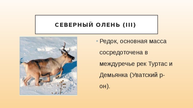 Северный олень (III) Редок, основная масса сосредоточена в междуречье рек Туртас и Демьянка (Уватский р-он). 