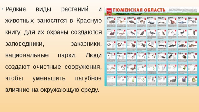 Редкие виды растений и животных заносятся в Красную книгу, для их охраны создаются заповедники, заказники, национальные парки. Люди создают очистные сооружения, чтобы уменьшить пагубное влияние на окружающую среду. 