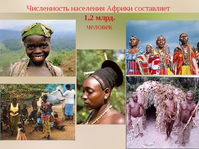 Численность населения Африки составляет  1,2 млрд.  человек 