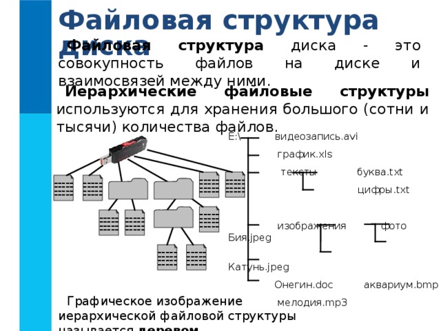 Файловая структура диска Файловая структура диска - это совокупность файлов на диске и взаимосвязей между ними. Иерархические файловые структуры используются для хранения большого (сотни и тысячи) количества файлов. E:\ видеозапись .avi  график .xls  тексты буква .txt  цифры .txt  изображения  фото  Бия .jpeg   Катунь .jpeg  Онегин. doc аквариум .bmp    мелодия. mp3 ----- ----- ----- ----- ----- ----- ----- ----- ----- ----- ----- ----- ----- ----- ----- ----- ----- ----- ----- ----- ----- ----- ----- ----- ----- ----- ----- ----- ----- ----- ----- ----- ----- ----- ----- ----- Графическое изображение иерархической файловой структуры называется деревом . 