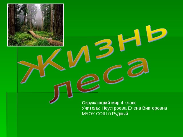 Окружающий мир 4 класс Учитель: Неустроева Елена Викторовна МБОУ СОШ п Рудный 