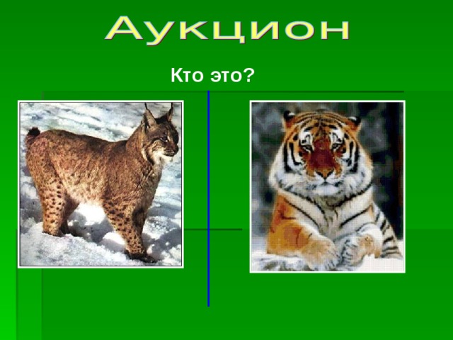 Кто это? 